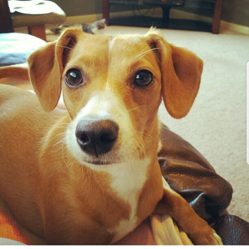 Meet your Posher, Beth